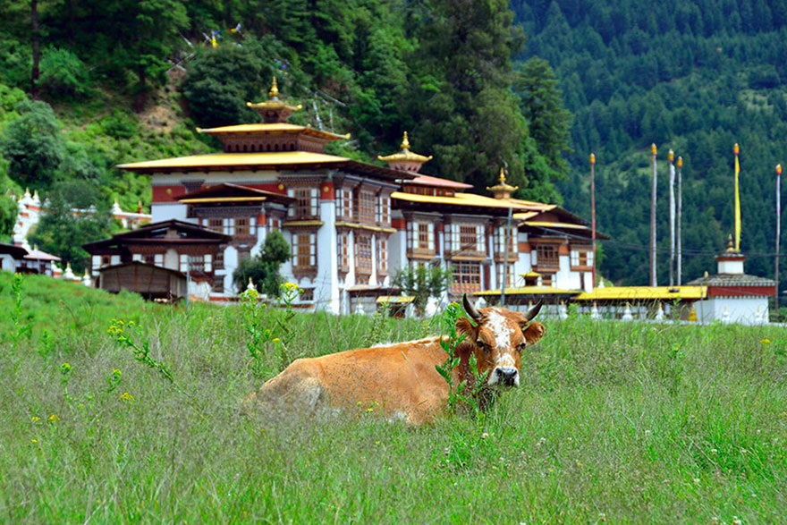 Verkehr in Bhutan