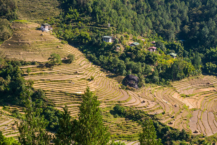 14 Tage Kulturreise nach Nepal und Bhutan