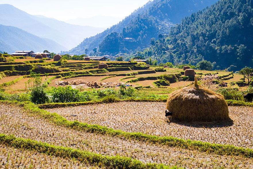 8 Tage Rundreise durch Bhutan - Königreich im Himalaya