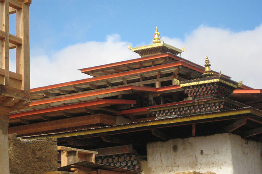 Nationalblume von Bhutan