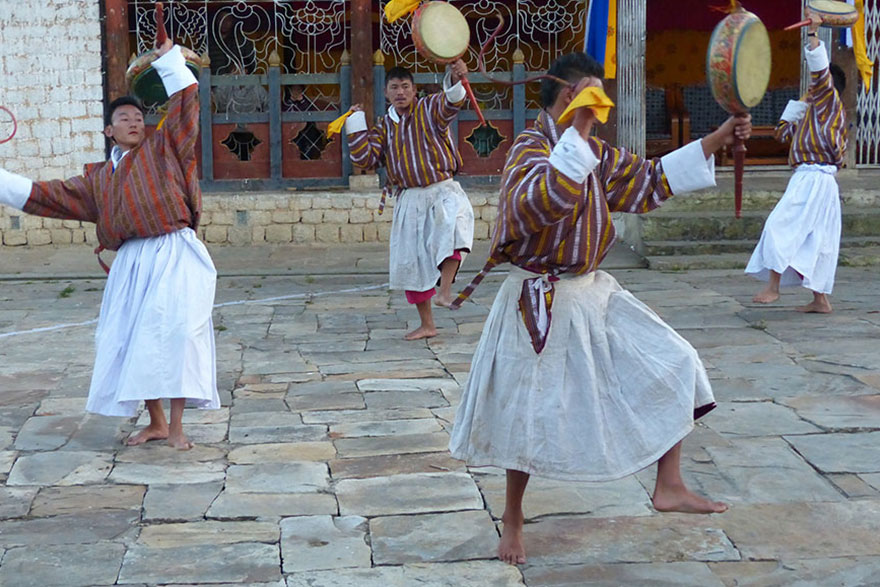 Zuchtfarm für Mithun